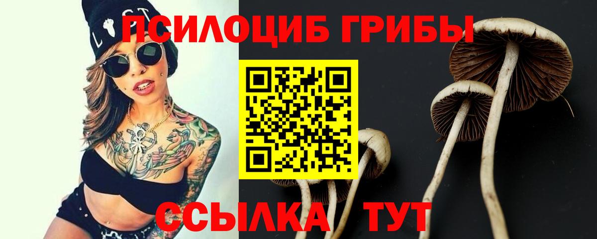 Псилоцибиновые грибы Psilocybine cubensis  Вход с VPN  Рязань 